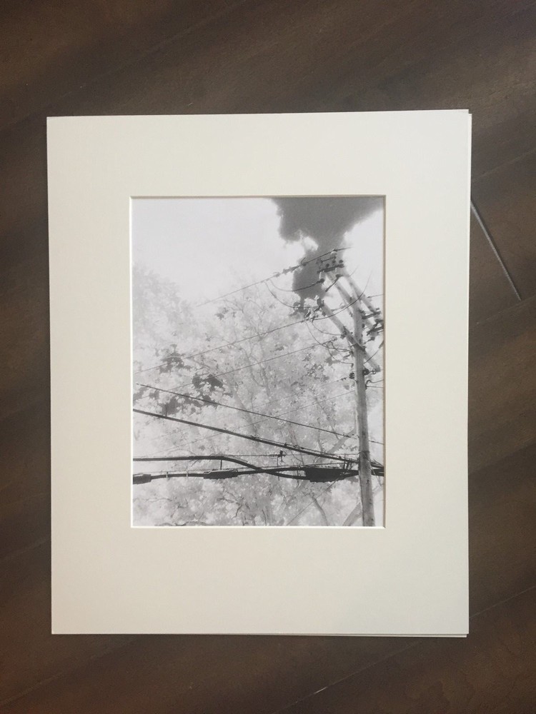BRUCE BLUM SIGNED B&W Photo Print (16″X 20″)-«Trees, Sky, Pole and Wires «