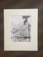 BRUCE BLUM SIGNED B&W Photo Print (16″X 20″)-«Trees, Sky, Pole and Wires «