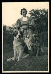 Frau in Tracht mit Bernhardiner Hund und Schäferhund – Foto 9x13cm