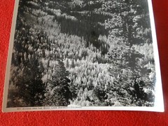 Vintage 1930s/40s Colorado Linen Backed Silver Gelatin Photo Mt. Evans Echo Lake