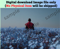 Monk in flower garden AI picture modern background wallpaper for pc & mobile new