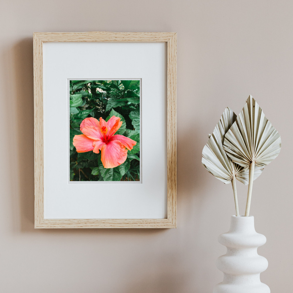 Hibiscus Flower Beach Wall Art Print 5×7 – Coastal Landscape Photography Décor