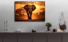 Elephant Canvas Wall Art, Sunset Nature Photo Pictures Large African Elephant