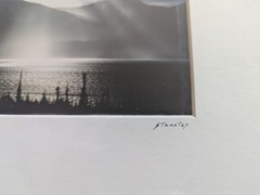 Set of 4 Wildlife/Nature Photographs by Jim Stamates, 4″x6″, Matted to 8″x10″