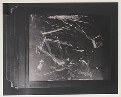 PAOLO ROVERSI Printer’s Proof Photograph 16 x 20