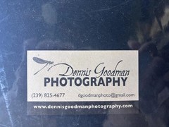 Dennis Goodman Photography Art Dragonfly Signed Blue Dasher