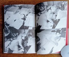 Nobuyoshi Araki Chiro My Love Photo 1992 Cat Photograph