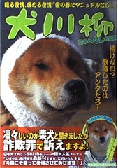 Dog Haiku Legend of the Timid Dog