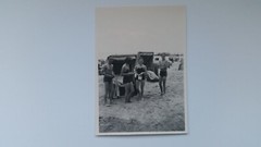 Photo 19R957 2 couples on the beach circa 1960s approx 6x9cm