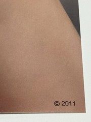 Nude Model Photo 8×10 Female Art Photograph GORGEOUS BEAUTY GLOSSY Heavy PAPER