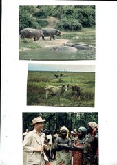 66 Old Photos Authentic Africa Circa 1950/1960, Various Dimensions