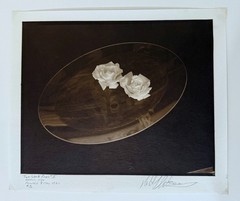 AMERICAN ARTIST ROBERT J. STEINBERG SIGNED DATED PHOTOGRAPH – «TWO WHITE ROSES»