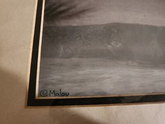 Malou Mallison Signed Photograph Hawaii Surfing