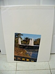 MATTED PHOTOGRAPHY View of Fountain and American Flag By Larry Santucci 16×20
