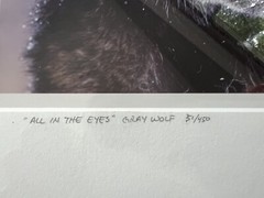 Randy Napier Signed Framed Limited Edition Art Photograph Gray Wolf In Snow 2005