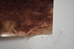 Original ALAN HOUGHTON fine art Photography butterlfys near a spider web 15 X 20