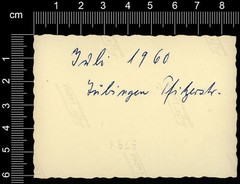 Photo-Tübingen-Pfizerstraße-VW-Beetle-Volkswagen-Beetle-1960-