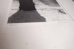 8×10 CHRIS HONEYSETT «YOSEMITE» PHOTOGRAPH SIGNED 1990 (needs re-matting)