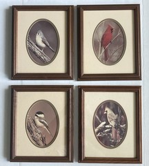 Rick Denomme Bird Photography Set of 4 Framed Cardinal Chickadee Titmouse Signed
