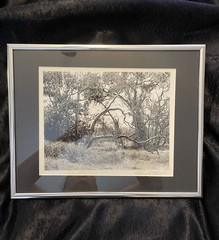 Vintage hand signed original photograph Sycamore Grove Livermore, CA 1996 14×11