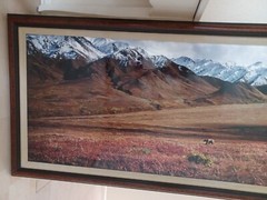 Thomas Mangelsen ‘After The Ice Age’-Grizzly Bear, Ltd Edition/ FRAMED 1992