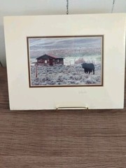 Bill Smith Photography Prints #341 And 339 «Colorado Cows» Signed 10″x8″