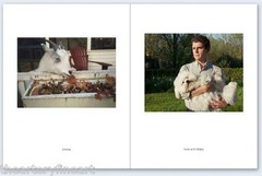 STEPHEN SHORE: Pet Pictures SIGNED Photo w/ Ltd Edition Book One Picture #73 NEW