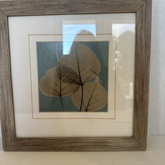 3 Albert Koetsier 11 7/8” Framed Eucalyptus Leaf/Bo Leaf & More Images