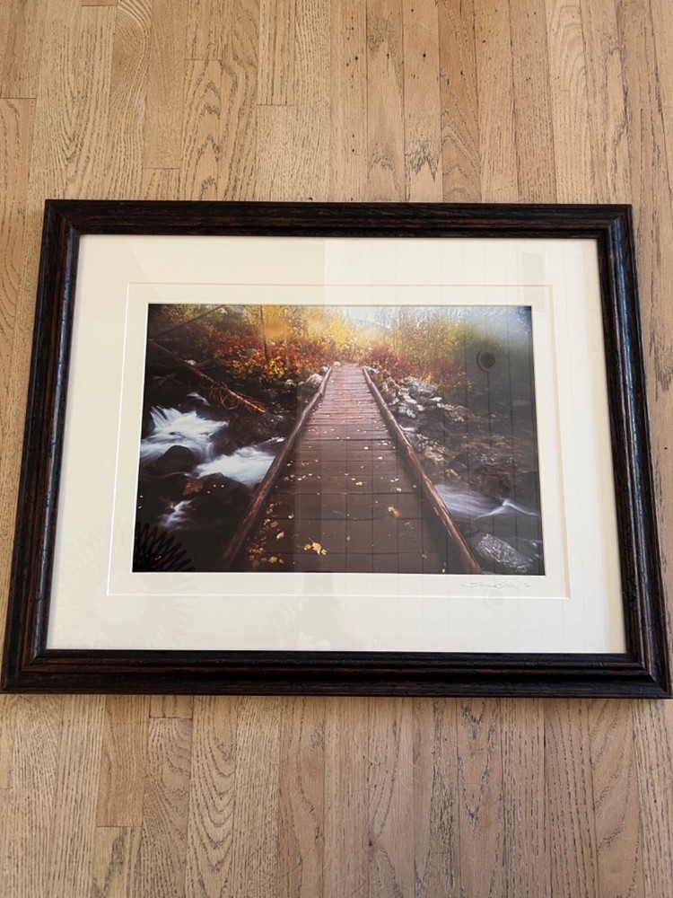 Shane Knight Signed & Numbered Photograph