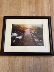 Shane Knight Signed & Numbered Photograph