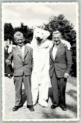 14004518 – Tourist Polar Bear Costume