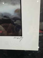 Michael Walsh Framed Signed Photograph Easkey Co. Sligo Ireland 19 1/4”x14 1/2”