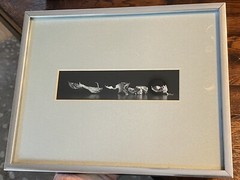 1983 art photographer RONALD C. STARK modern art b/w PHOTO mcm S/N