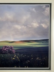 ART – Original Signed John Clement 35mm Photograph 16×13 Framed Modern Landscape