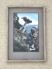 Vintage J.M. Garrison Hand Tint Oil Color Photo Point Lobos CA 10.5”x15.5” VGC
