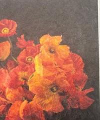 Vintage JONATHAN SINGER Orange POPPIES Bouquet FLOWER Botanica Signed PHOTOGRAPH