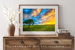 Storm Clouds Photography Print: Texas Sunset Sky Landscape Tree Weather Photo