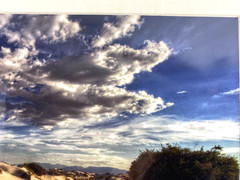 Professional Photograph Art Print White Sands, NM Matted Signed