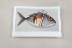 Canned FISH Fine Art Photograph Signed ORIGINAL Ltd Edition SURREALIST Print NEW