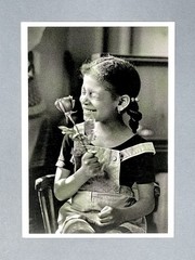 Chester Higgins Jr. Art Photo Print Card – A Birthday Rose, NYC, 1975 4.25”x6”