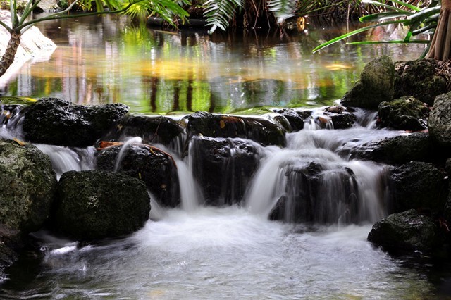 8 1/2 x 11″ HQ PRINT PHOTO of TIME EXPOSURE of MOVING WATER in a CREEK RELAXING