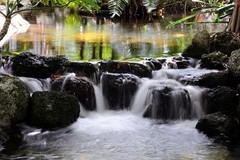 8 1/2 x 11″ HQ PRINT PHOTO of TIME EXPOSURE of MOVING WATER in a CREEK RELAXING