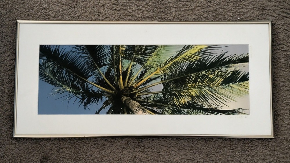 Vintage 1994 Robin L White Signed Palm Tree Tropical 23½»x10⅞»Framed Photo