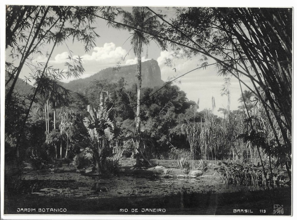 Großes Foto, old photo Rio De Janeiro Brasilien Brazil, JARDIM BOTANICO, 1920