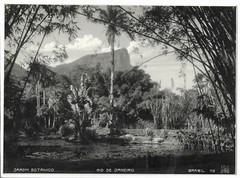 Großes Foto, old photo Rio De Janeiro Brasilien Brazil, JARDIM BOTANICO, 1920