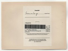 24x18cm Foto 1920er Abzug 1980er Harley Davidson mit Beiwagen IA-1227 photo