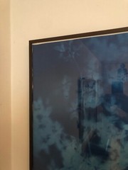 Tom Fels cyanotype Chirstie’s auction photographer Atkins style