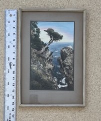 Vintage J.M. Garrison Hand Tint Oil Color Photo Point Lobos CA 10.5”x15.5” VGC