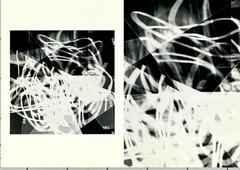 Tenesh Webber Art Announcement Card March 2000 Photography