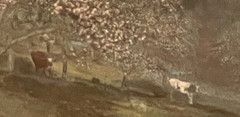 Charles Sawyer «The Upland Pasture» Cows Hand Colored Photo Nutting Peer